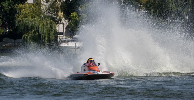 的职业发展 的职业发展