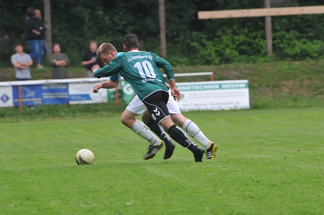 威金斯双剑 威金斯双剑