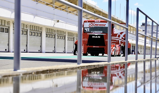 運動員情商 運動員情商