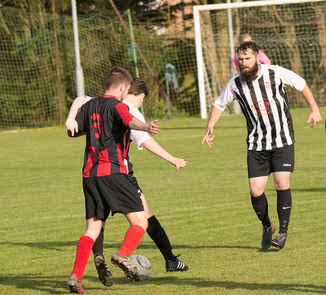 以下为您详 以下为您详