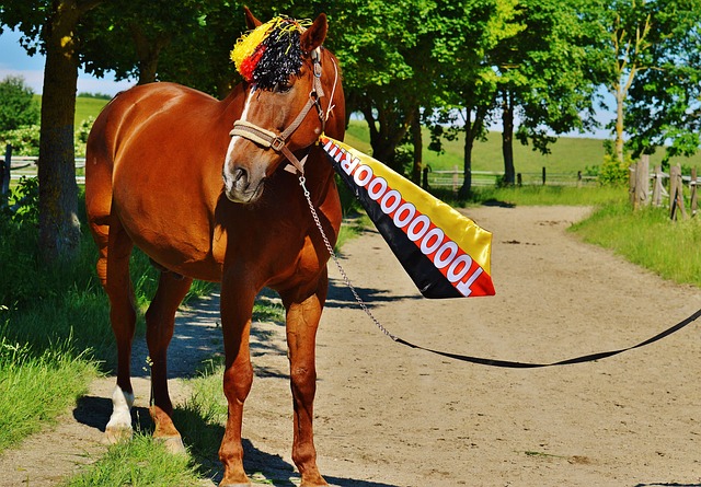 很大程度加 很大程度加