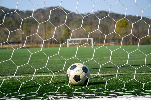 郑钦文的胜 郑钦文的胜