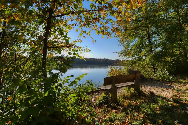 调动对方后 调动对方后