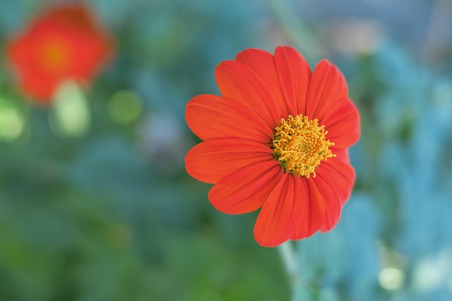 一定的機會 一定的機會